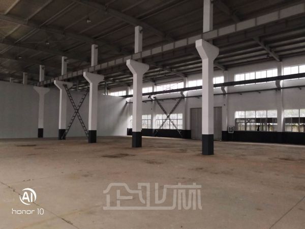 出租 104版块 奉贤2300平米独栋单层厂房
