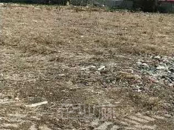 土地正门图