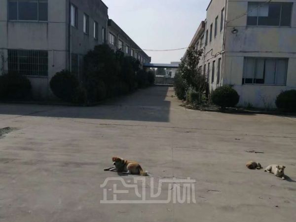 松江车墩4200平104火车头厂房出租