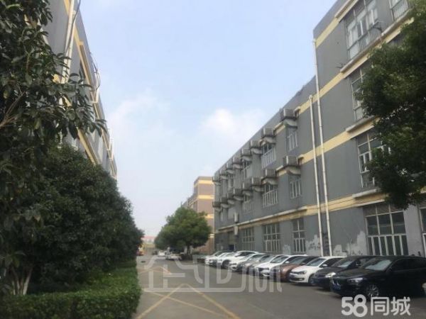 大房东出租松江新桥厂房/仓库900/1155/1900平