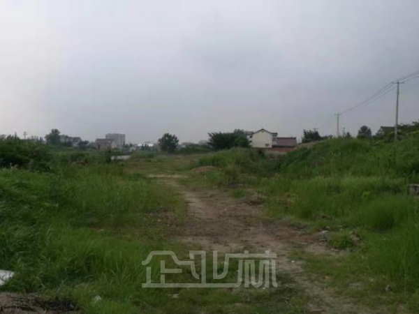 厂房正门图