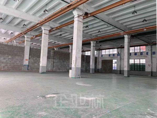 出租闸北大宁地区 挑高厂房 办公 欢迎来电