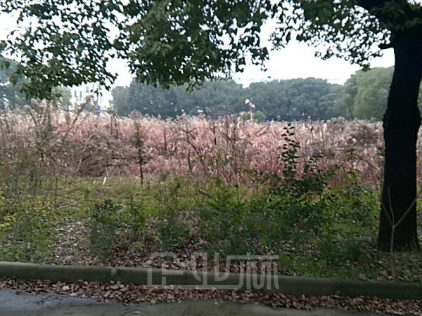 厂房正门图