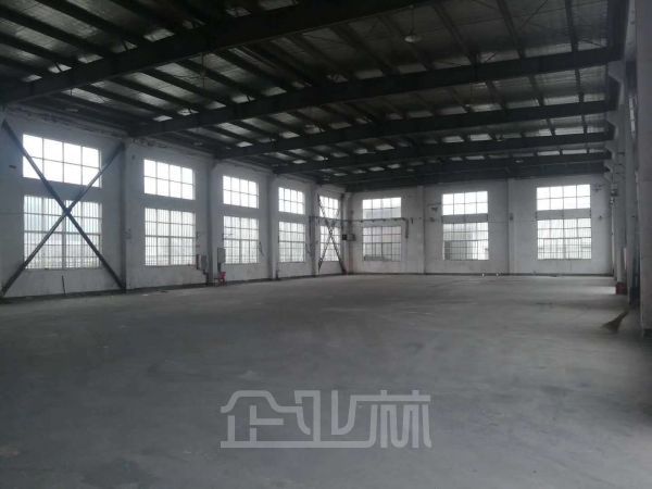 松江新桥2900平方厂房出租，独门独院