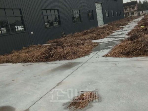 江苏太仓2000平方厂房出租，空地3亩，独门独院