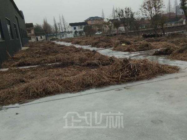 厂房正门图