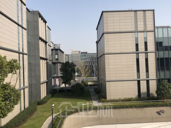 漕河泾南桥园区 火热招商！！！（开发商直招）