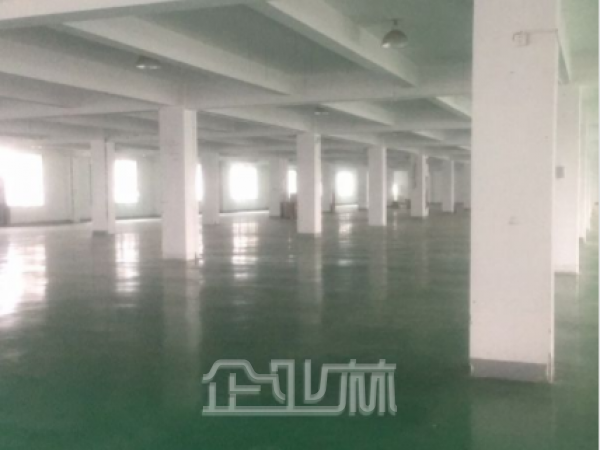 出租松江标准厂房!104地块!