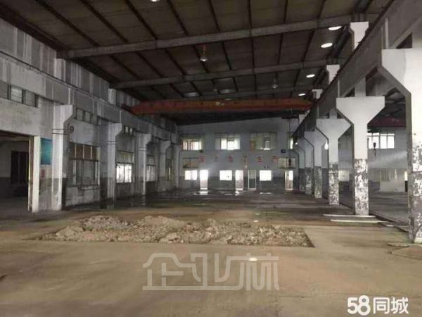 房东直租，欢迎中介合作单层标准厂房可分租