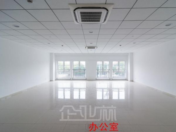 新桥精装办公楼250平对外出租    租金1.8元/天/平米（含税含物业）