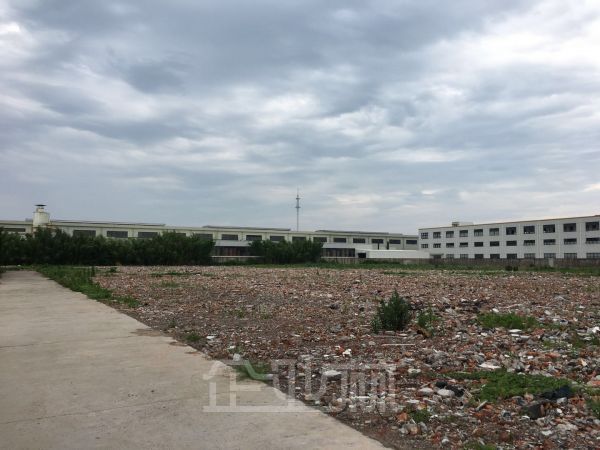 金山 独门独院占地105亩 可定向建造物流仓库