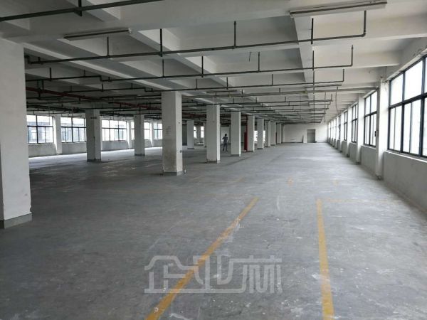 萧山开发区2000方 交通方便大车进出方便有客梯货梯