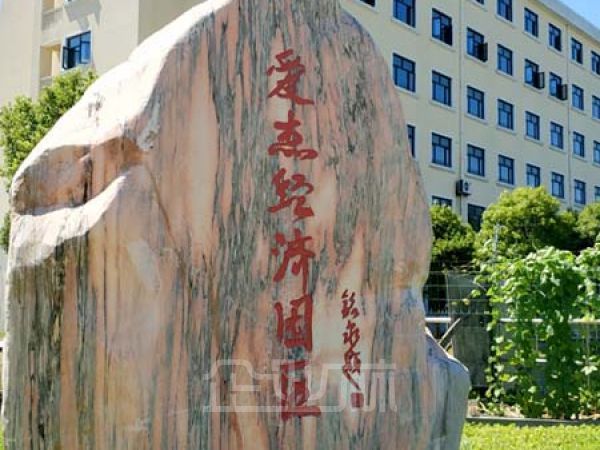 出租奉贤四团轻工厂房仓库104地块近临港浦东大团
