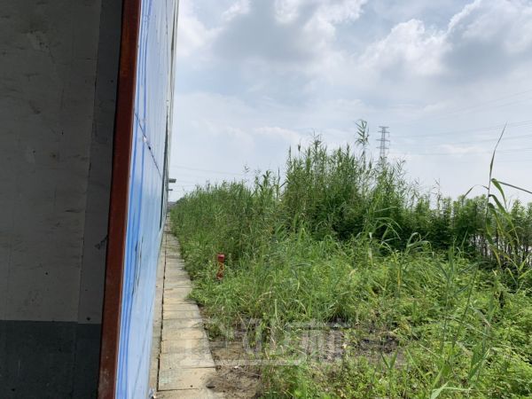 厂房正门图
