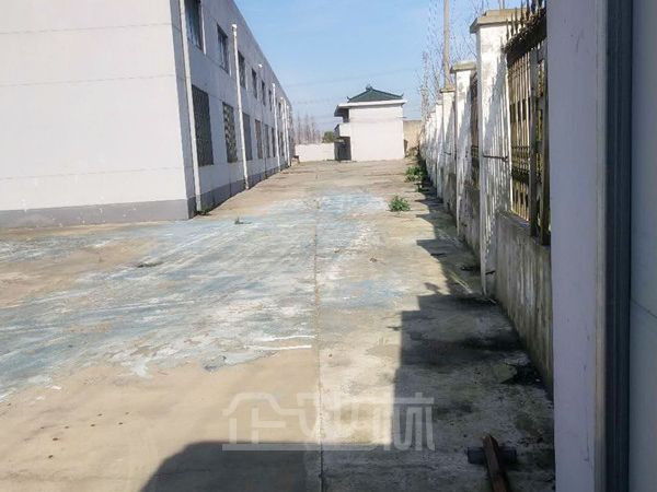 出租：奉贤4500平方全单层厂房，可分割