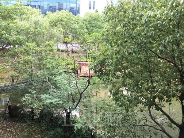 松江漕河泾 104板块厂房一楼 二楼面积1610平 便宜出租