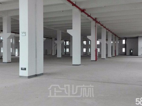苏州相城区漕湖产业园2800平底层可架行车厂房出租