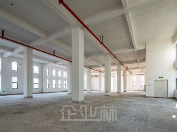 闵行经济开发区 新建厂房28000平 便宜出租