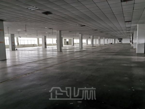 嘉善 标准三层厂房24000平 适合各类生产制造
