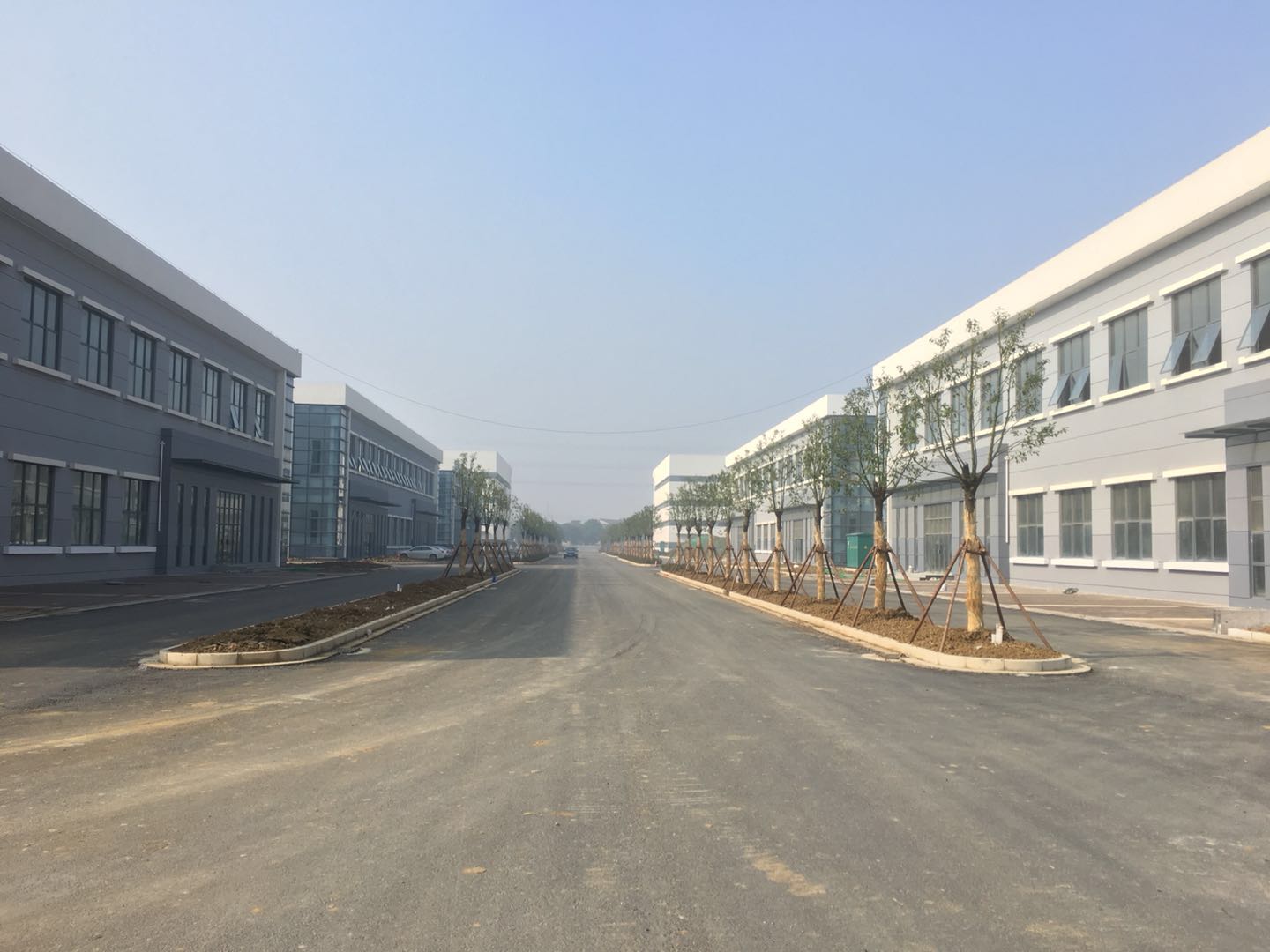 园区鸟瞰
