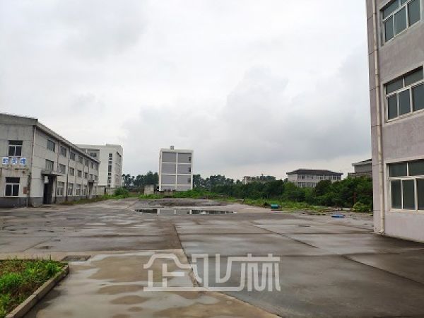土地正门图