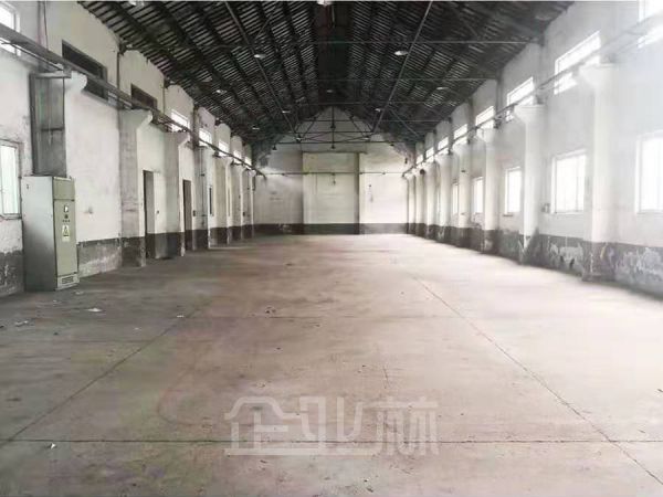 松江车墩单层厂房加办公楼5000平出租