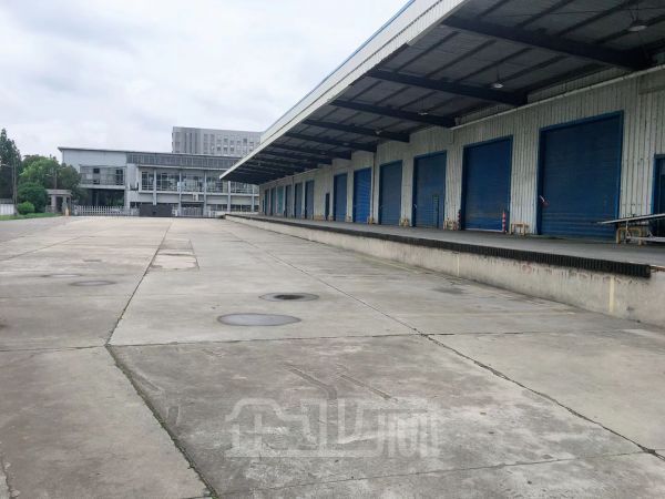 出租青浦12000平米高台库