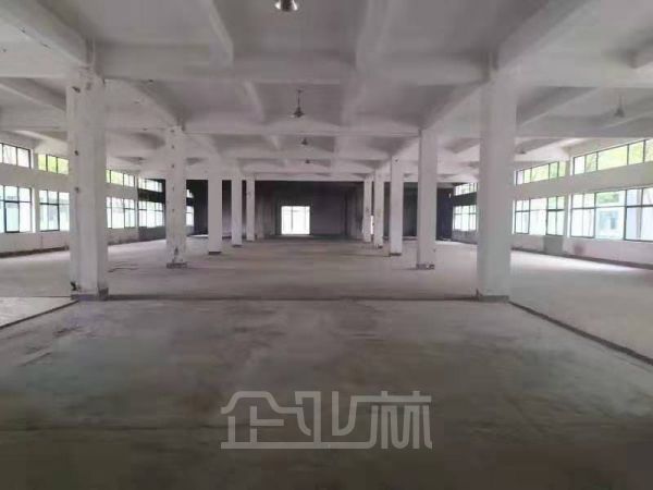 松江车墩双层厂房12000平底层8.4米 带宿舍 可分割
