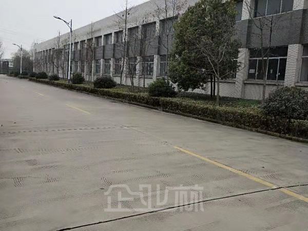 相城区单层8.5米大面积厂房低价招租，配办公区域，靠近物流园
