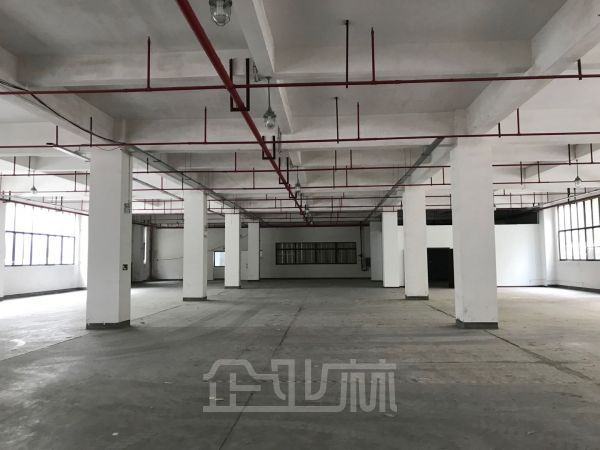 九亭厂房出租面积6800平