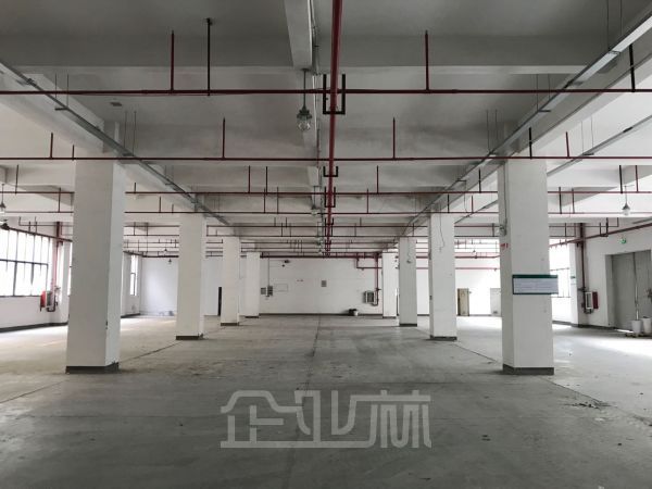 九亭厂房出租面积6800平