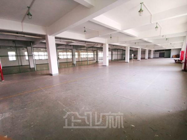 九亭厂房出租面积6800平