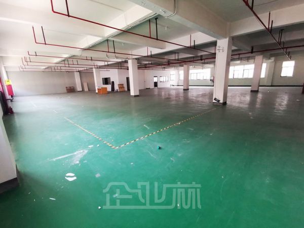九亭厂房出租面积6800平