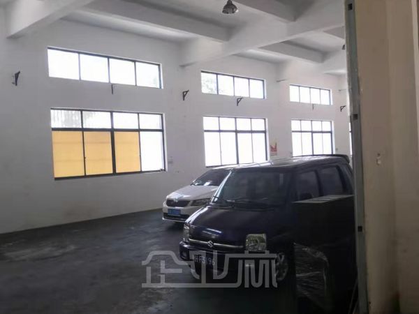 出租：新桥镇明强路厂房 680平 单层 104版块