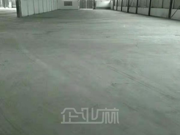 出租：上海闵行区浦江镇厂房 1600平 单层 超大场地