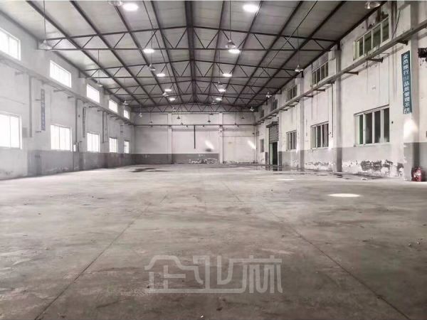 松江 车墩单层仓库5000平  高度11米9
