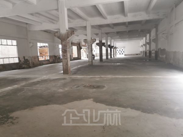 出租：上海闵行吴泾龙吴路厂房 2512平 单层 大平方带雨棚