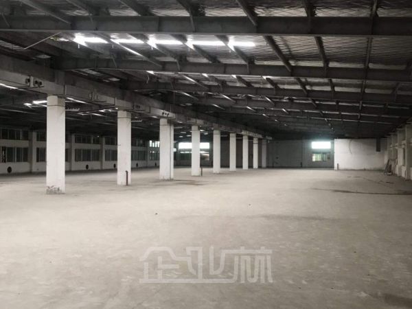 出租：松江新浜林天路厂房 10572平 单层 配套齐全