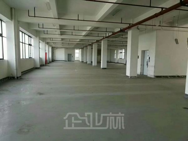 出租松江新桥厂房面积2150平米