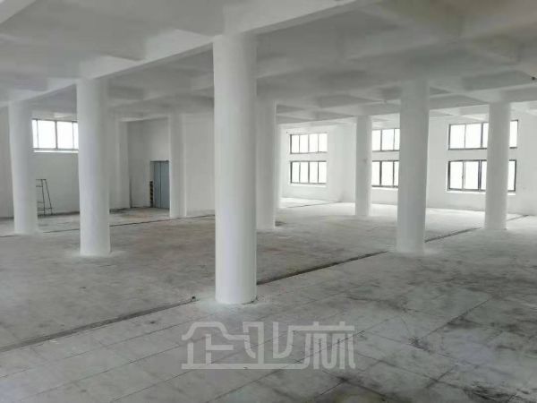 出租：松江区九亭镇九新公路厂房 1000平 多层 可随意分割