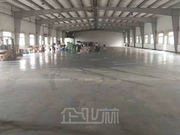 出租：松江新桥厂房 2400平 单层 独门独院