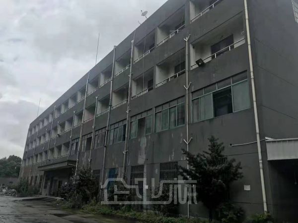 出租：松江新桥金都西路厂房 2000平 多层 适合业态广