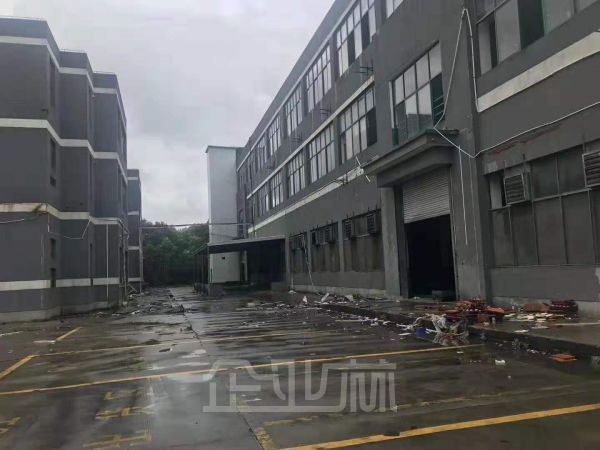 出租：松江新桥金都西路厂房 3000平 多层 适合业态广