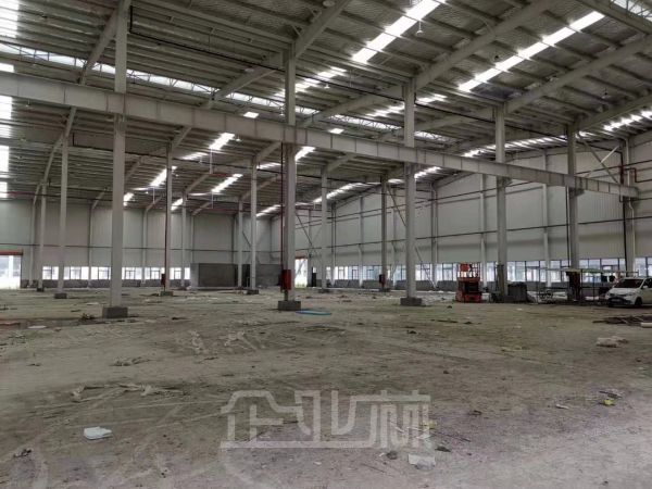 出租滨海工业区三类地单层厂房26元/平，可分割