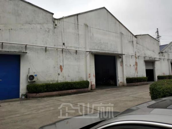 出租金山张堰厂房面积1200㎡价格0.75元㎡天  可谈！！