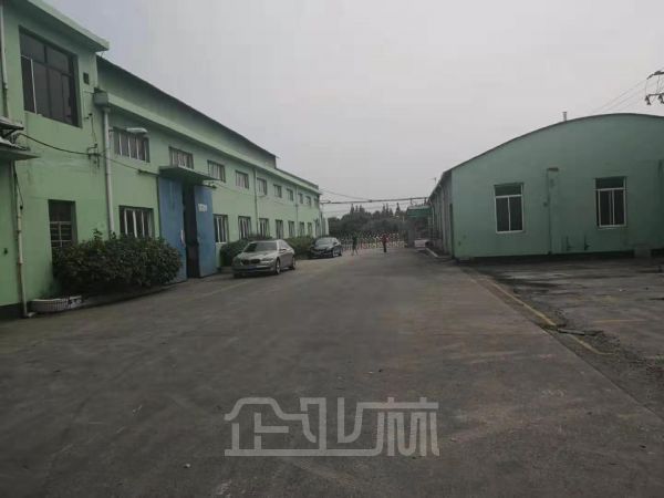 出租:上海松江车墩厂房 5000平 单层 热门厂房