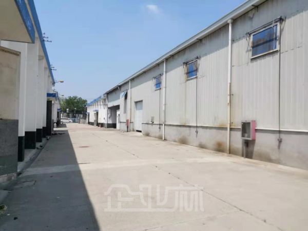 松江新桥500平单层厂房对外出租   租金1.4元/天/平米（行业不限）