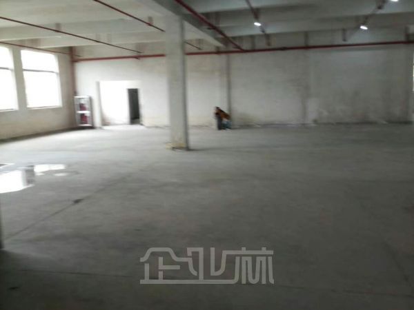 出租：松江新桥申光路厂房 2080平 单层 带卸货雨棚
