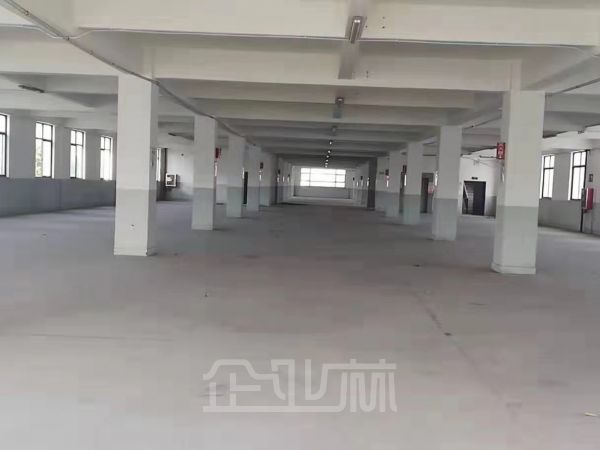 出租松江新桥厂房面积38000 单层 均价 1 元每平天 好谈！！！