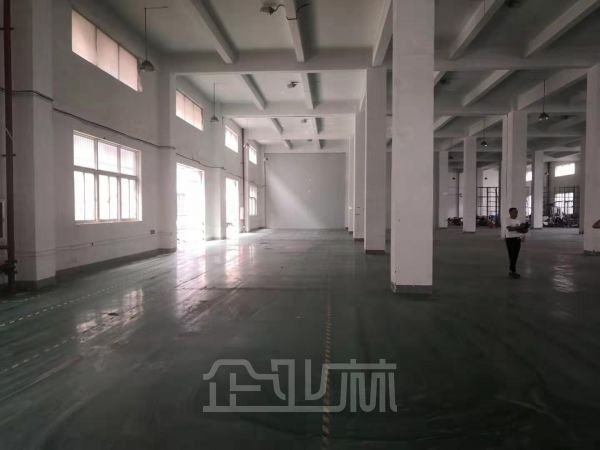 出租：金山枫泾新群路厂房 5000平 单层 独门独院
